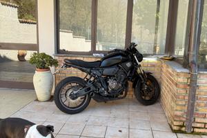 Yamaha xsr  700