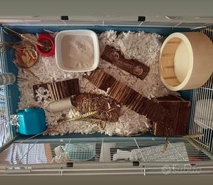 Gabbietta per criceto 🐹