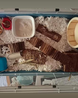 Gabbietta per criceto 🐹