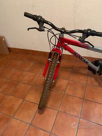 Bicicletta Ragazzo/a