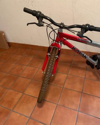 Bicicletta Ragazzo/a