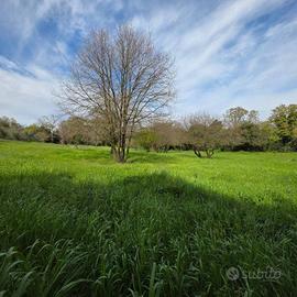 Terreno di 10000 m² a Pomezia