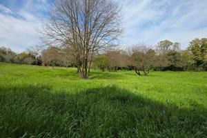 Terreno di 10000 m² a Pomezia