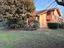 Immagine 7