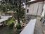 Immagine 9
