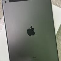 IPAD WIFI CL 64GB (9gen)