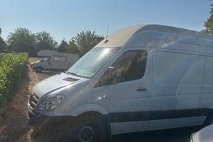 Sprinter