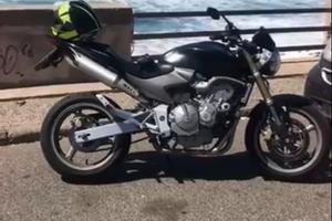Honad Hornet 600 (2006) - Solo 36.000 km