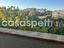 Immagine 29