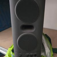 Cassa super woofer Sony