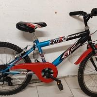 bicicletta 20 pollici 