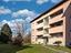 Immagine 25