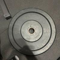 Dischi bumper sidea 110kg