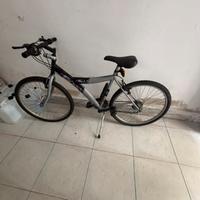 montabike