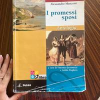 libro " I promessi sposi"