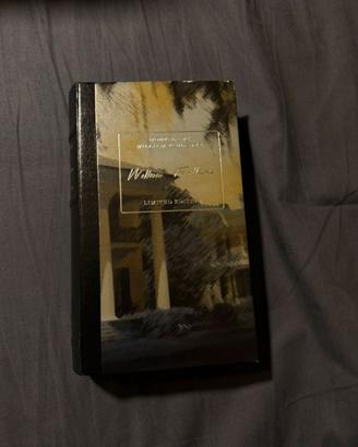 Penna stilografica montblanc x William Faulkner