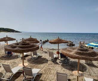 Agosto low-cost