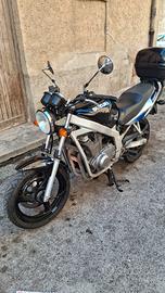 Suzuki naked