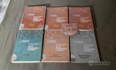 Maiorum Lingua - Nuovo comprendere e tradurre