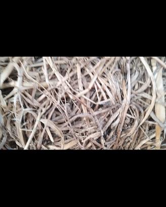 fieno di trigonella a ballette 