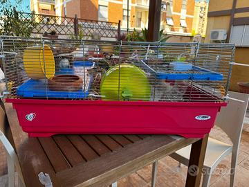 Gabbia criceto grande