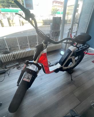 FANTIC ISSIMO FATBIKE