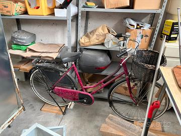 Bici da citta