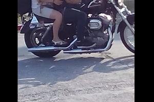 Harley Davidson 883 