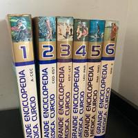 Grande Enciclopedia Medica Curcio