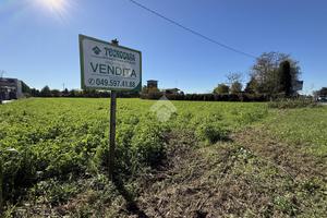TER. RESIDENZIALE A SAN MARTINO DI LUPARI
