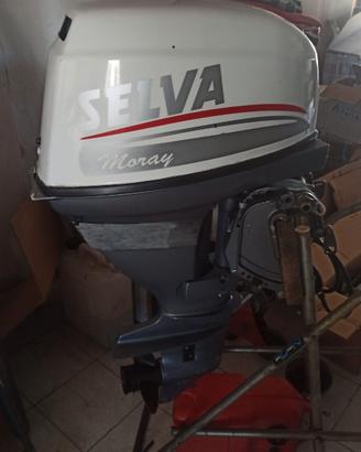MOTORE SELVA 20 CV  4 TEMPI
