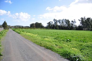 Azienda agricola con agriturismo e agricampeggio