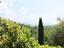 Immagine 15