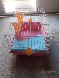 gabbia per conigli
