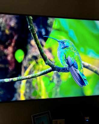 Smart TV Samsung 55 4K UE55RU7450 + Staffa Muro