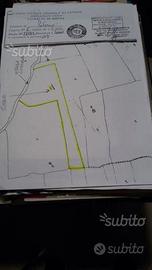 Terreno Ragalna (Contrada Monte Arso)