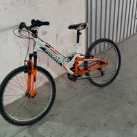 Bici montana