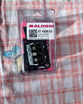 Pacco lamellare malossi vl6