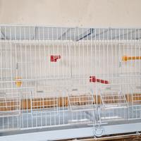 2 Gabbie da cova una nuova l'altra usata 