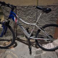 Bici mountain bike Carnielli MQ 24 LT