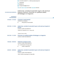 Autista conesegnatario patente b e carellista