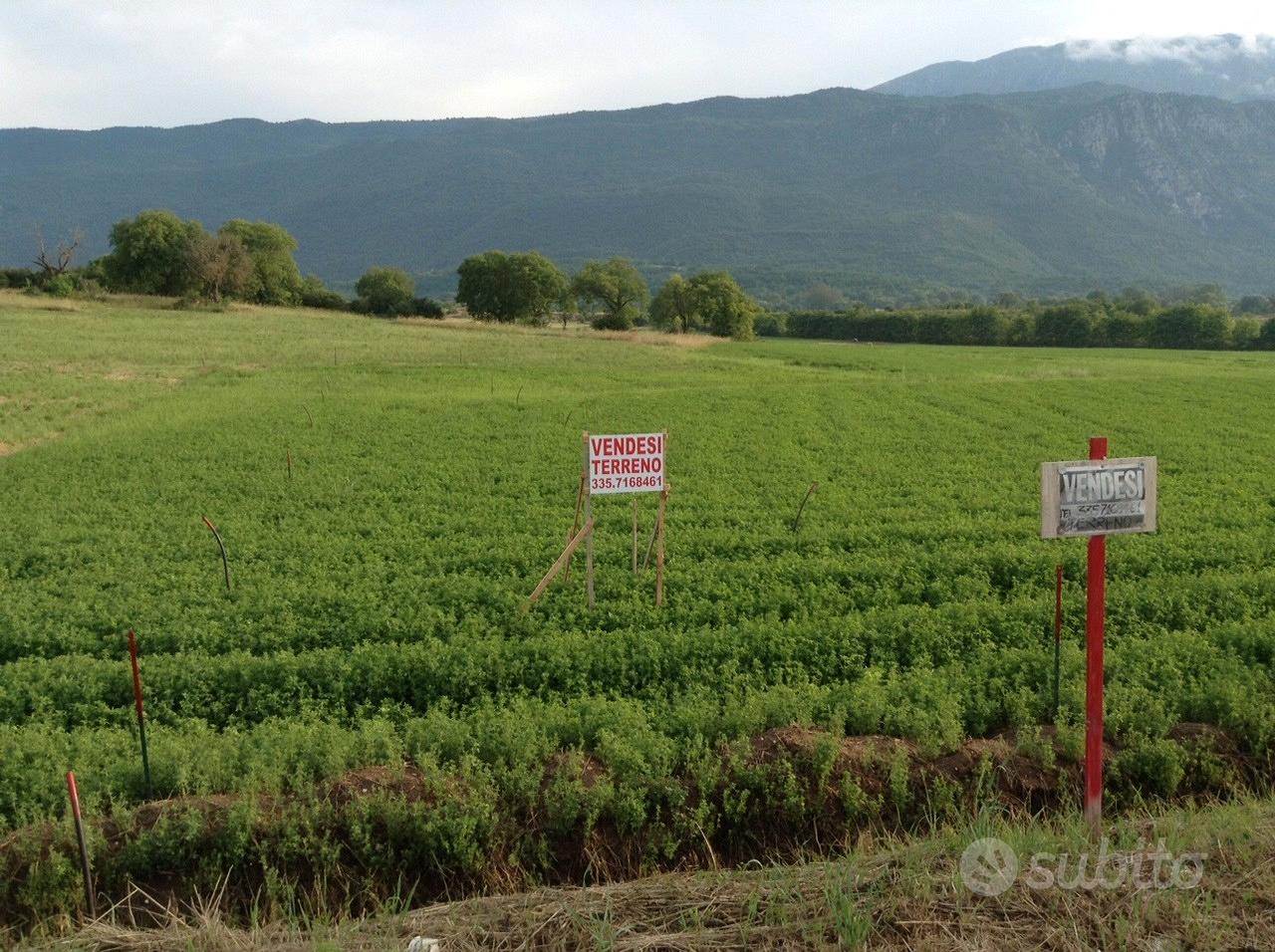 Terreno artigianale - Vista 2