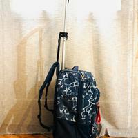 Zaino/ Trolley con rotelle