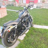 Harley-Davidson Sportster 883 - 2007