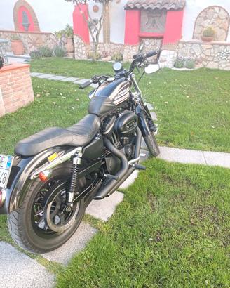 Harley-Davidson Sportster 883 - 2007