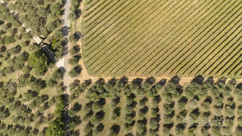 Rustico / Casale di 489 m² con 5 locali a San Casc - Vista 5