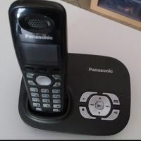 Telefono cordless Panasonic KX-TG8021JT