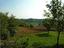 Immagine 11