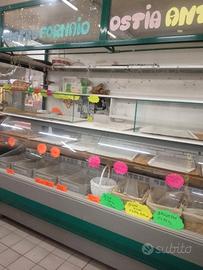 Banco Gatronia Ostia