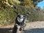 Immagine 5